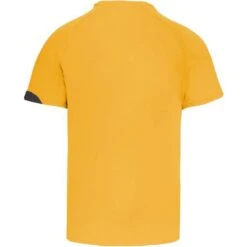 PROACT PA436 - T-shirt Sport Manches Courtes -Style au Travail aHR0cDovL21lZGlhMi5kZXNpZ25wYXJ0bmVyLmZyL2MvcC83MDU1LzcwNTUtOTkzOS0yLmpwZw