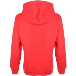 FH004 - Junior Hoodie -Style au Travail aHR0cDovL21lZGlhMi5kZXNpZ25wYXJ0bmVyLmZyL2MvcC83MTA0LzcxMDQtOTk4MC0yLmpwZw