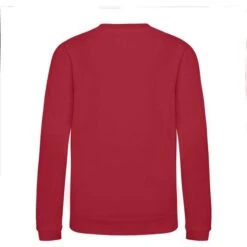 JH030J - Sweatshirt Enfant AWDis -Style au Travail aHR0cDovL21lZGlhMi5kZXNpZ25wYXJ0bmVyLmZyL2MvcC83NjYzLzc2NjMtMzM2Ny0yLmpwZw