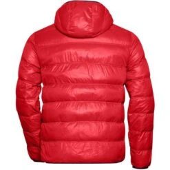 James & Nicholson JN1060 - Men's Down Jacket -Style au Travail aHR0cDovL21lZGlhMi5kZXNpZ25wYXJ0bmVyLmZyL2MvcC83Nzc0Lzc3NzQtMTA3ODUtMi5qcGc