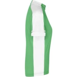 James & Nicholson JN453 - Ladies' Bike-T Full Zip -Style au Travail aHR0cDovL21lZGlhMi5kZXNpZ25wYXJ0bmVyLmZyL2MvcC83ODE0Lzc4MTQtMTA3NzgtMy5qcGc