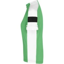 James & Nicholson JN453 - Ladies' Bike-T Full Zip -Style au Travail aHR0cDovL21lZGlhMi5kZXNpZ25wYXJ0bmVyLmZyL2MvcC83ODE0Lzc4MTQtMTA3NzgtNC5qcGc