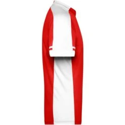 James & Nicholson JN452 - Men's Bike-T Half Zip -Style au Travail aHR0cDovL21lZGlhMi5kZXNpZ25wYXJ0bmVyLmZyL2MvcC83ODEzLzc4MTMtMTA3NTEtMy5qcGc