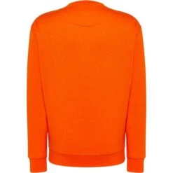 SWRA290 - Crew Neck Sweatshirt -Style au Travail aHR0cDovL21lZGlhMi5kZXNpZ25wYXJ0bmVyLmZyL2MvcC84Mjg0LzgyODQtMTEzOTAtMi5qcGc