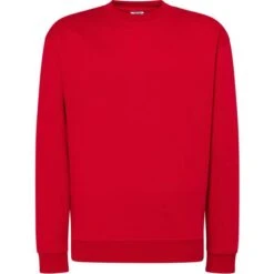 SWRA290 - Crew Neck Sweatshirt -Style au Travail aHR0cDovL21lZGlhMi5kZXNpZ25wYXJ0bmVyLmZyL2MvcC84Mjg0LzgyODQtMTEzOTMtMS5qcGc