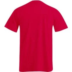 1090 - Basic-T -Style au Travail aHR0cDovL21lZGlhMi5kZXNpZ25wYXJ0bmVyLmZyL2MvcC84NDM5Lzg0MzktMTE1ODItMi5qcGc