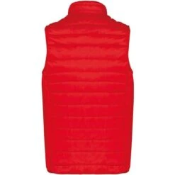 KARIBAN K6113 - Doudoune Légère Sans Manches Homme 37 KARIBAN K6113 - Doudoune Légère Sans Manches Homme -Style au Travail aHR0cDovL21lZGlhMi5kZXNpZ25wYXJ0bmVyLmZyL2MvcC84NjMyLzg2MzItMTI2Mi0yLmpwZw