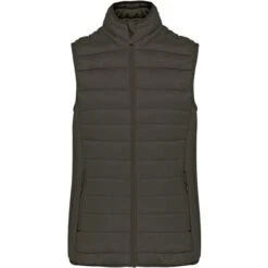 KARIBAN K6114 - Doudoune Légère Sans Manches Femme -Style au Travail aHR0cDovL21lZGlhMi5kZXNpZ25wYXJ0bmVyLmZyL2MvcC84NjMzLzg2MzMtMzY3MC0xLmpwZw