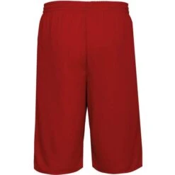 PROACT PA162 - SHORT RÉVERSIBLE BASKET-BALL UNISEXE -Style au Travail aHR0cDovL21lZGlhMi5kZXNpZ25wYXJ0bmVyLmZyL2MvcC84Nzg0Lzg3ODQtMTIwNjctMi5qcGc