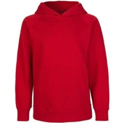 Neutral O13101 - Kids Hoodie -Style au Travail aHR0cDovL21lZGlhMi5kZXNpZ25wYXJ0bmVyLmZyL2MvcC85MTExLzkxMTEtMTI1ODktMS5qcGc