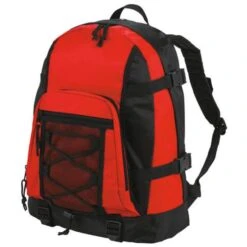 1800780 - Backpack Sport -Style au Travail aHR0cDovL21lZGlhMi5kZXNpZ25wYXJ0bmVyLmZyL2MvcC85MTc4LzkxNzgtMTI2NDUtMS5qcGc