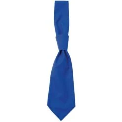 01360 - Tie Messina 26 01360 - Tie Messina -Style au Travail aHR0cDovL21lZGlhMi5kZXNpZ25wYXJ0bmVyLmZyL2MvcC85MzA3LzkzMDctMTI2ODQtMS5qcGc