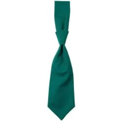 01360 - Tie Messina 21 01360 - Tie Messina -Style au Travail aHR0cDovL21lZGlhMi5kZXNpZ25wYXJ0bmVyLmZyL2MvcC85MzA3LzkzMDctMTI2OTEtMS5qcGc