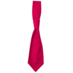 01360 - Tie Messina 29 01360 - Tie Messina -Style au Travail aHR0cDovL21lZGlhMi5kZXNpZ25wYXJ0bmVyLmZyL2MvcC85MzA3LzkzMDctMTI2OTYtMS5qcGc