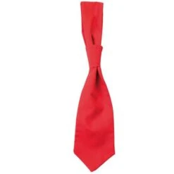 01360 - Tie Messina 23 01360 - Tie Messina -Style au Travail aHR0cDovL21lZGlhMi5kZXNpZ25wYXJ0bmVyLmZyL2MvcC85MzA3LzkzMDctMTI3MDAtMS5qcGc