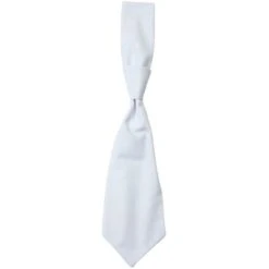 01360 - Tie Messina 27 01360 - Tie Messina -Style au Travail aHR0cDovL21lZGlhMi5kZXNpZ25wYXJ0bmVyLmZyL2MvcC85MzA3LzkzMDctMTI3MDctMS5qcGc