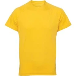 Rt11tr - T-shirt TriDri® à Empiècements Homme -Style au Travail aHR0cDovL21lZGlhMi5kZXNpZ25wYXJ0bmVyLmZyL2MvcC85ODk2Lzk4OTYtMTM0NjgtMS5qcGc