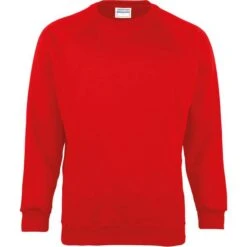 MD01B - Sweat-shirt Enfant Coloursure™ -Style au Travail aHR0cDovL21lZGlhMi5kZXNpZ25wYXJ0bmVyLmZyL2MvcC8xMDQ1My8xMDQ1My0xNDE0MS0xLmpwZw