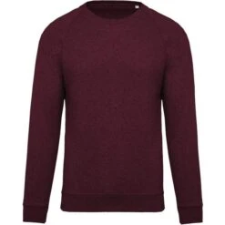 KARIBAN K480 - Sweat-shirt BIO Col Rond Manches Raglan Homme -Style au Travail aHR0cDovL21lZGlhMi5kZXNpZ25wYXJ0bmVyLmZyL2MvcC8xMDU3OS8xMDU3OS0xNDM4Ny0xLmpwZw