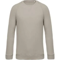 KARIBAN K480 - Sweat-shirt BIO Col Rond Manches Raglan Homme -Style au Travail aHR0cDovL21lZGlhMi5kZXNpZ25wYXJ0bmVyLmZyL2MvcC8xMDU3OS8xMDU3OS0xOTcyNy0xLmpwZw