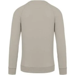 KARIBAN K480 - Sweat-shirt BIO Col Rond Manches Raglan Homme -Style au Travail aHR0cDovL21lZGlhMi5kZXNpZ25wYXJ0bmVyLmZyL2MvcC8xMDU3OS8xMDU3OS0xOTcyNy0yLmpwZw