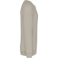 KARIBAN K480 - Sweat-shirt BIO Col Rond Manches Raglan Homme -Style au Travail aHR0cDovL21lZGlhMi5kZXNpZ25wYXJ0bmVyLmZyL2MvcC8xMDU3OS8xMDU3OS0xOTcyNy0zLmpwZw