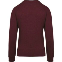 KARIBAN K481 - Sweat-shirt BIO Col Rond Manches Raglan Femme -Style au Travail aHR0cDovL21lZGlhMi5kZXNpZ25wYXJ0bmVyLmZyL2MvcC8xMDU4MC8xMDU4MC0xNDM4Ny0yLmpwZw