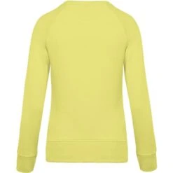 KARIBAN K481 - Sweat-shirt BIO Col Rond Manches Raglan Femme -Style au Travail aHR0cDovL21lZGlhMi5kZXNpZ25wYXJ0bmVyLmZyL2MvcC8xMDU4MC8xMDU4MC0xNzc1MS0yLmpwZw
