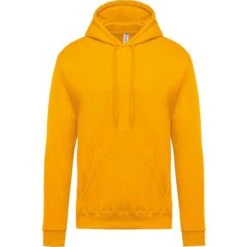 KARIBAN K476 - Sweat-shirt Capuche Homme -Style au Travail aHR0cDovL21lZGlhMi5kZXNpZ25wYXJ0bmVyLmZyL2MvcC8xMDU5Ny8xMDU5Ny0xMzQzLTEuanBn