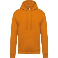 KARIBAN K476 - Sweat-shirt Capuche Homme -Style au Travail aHR0cDovL21lZGlhMi5kZXNpZ25wYXJ0bmVyLmZyL2MvcC8xMDU5Ny8xMDU5Ny0xOTczOC0xLmpwZw