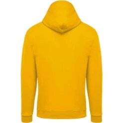 KARIBAN K479 - Sweat-shirt Zippé Capuche -Style au Travail aHR0cDovL21lZGlhMi5kZXNpZ25wYXJ0bmVyLmZyL2MvcC8xMDU5OC8xMDU5OC0xMzQzLTIuanBn