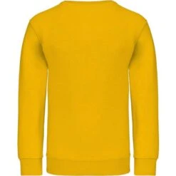 KARIBAN K475 - Sweat-shirt Col Rond Enfant -Style au Travail aHR0cDovL21lZGlhMi5kZXNpZ25wYXJ0bmVyLmZyL2MvcC8xMDYxNi8xMDYxNi0xMzQzLTIuanBn