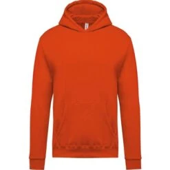 KARIBAN K477 - Sweat-shirt Capuche Enfant -Style au Travail aHR0cDovL21lZGlhMi5kZXNpZ25wYXJ0bmVyLmZyL2MvcC8xMDYxNy8xMDYxNy0xMjU0LTEuanBn