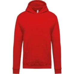 KARIBAN K477 - Sweat-shirt Capuche Enfant -Style au Travail aHR0cDovL21lZGlhMi5kZXNpZ25wYXJ0bmVyLmZyL2MvcC8xMDYxNy8xMDYxNy0xMjYyLTEuanBn