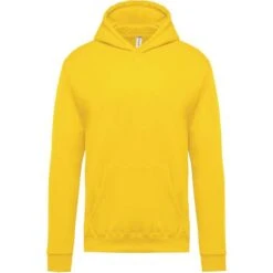 KARIBAN K477 - Sweat-shirt Capuche Enfant -Style au Travail aHR0cDovL21lZGlhMi5kZXNpZ25wYXJ0bmVyLmZyL2MvcC8xMDYxNy8xMDYxNy0xMzQzLTEuanBn