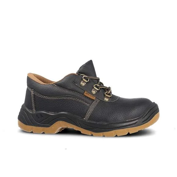 SP5065 - ZP1000 2 SP5065 - ZP1000 – Image 2