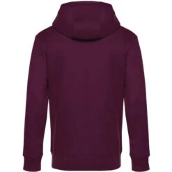 WU03K - B&C King Zipped Hood_° -Style au Travail aHR0cDovL21lZGlhMi5kZXNpZ25wYXJ0bmVyLmZyL2MvcC8xNDQ0Mi8xNDQ0Mi0xNjUyNS0yLmpwZw