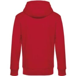 WU03K - B&C King Zipped Hood_° -Style au Travail aHR0cDovL21lZGlhMi5kZXNpZ25wYXJ0bmVyLmZyL2MvcC8xNDQ0Mi8xNDQ0Mi0yMy0yLmpwZw