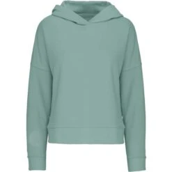 KARIBAN K494 - Sweat-shirt Capuche Lounge Bio Femme -Style au Travail aHR0cDovL21lZGlhMi5kZXNpZ25wYXJ0bmVyLmZyL2MvcC8xNDU2MS8xNDU2MS0xNzc0Ni0xLmpwZw