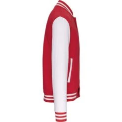 KARIBAN K498 - Blouson Molleton Teddy Enfant 19 KARIBAN K498 - Blouson Molleton Teddy Enfant -Style au Travail aHR0cDovL21lZGlhMi5kZXNpZ25wYXJ0bmVyLmZyL2MvcC8xNDU2NC8xNDU2NC0xMzI2LTMuanBn