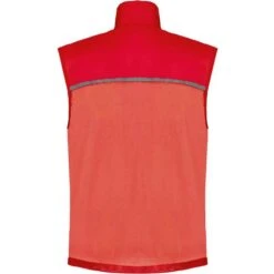 PROACT PA234 - RUNNER - GILET D'ENTRAÎNEMENT DOS FILET -Style au Travail aHR0cDovL21lZGlhMi5kZXNpZ25wYXJ0bmVyLmZyL2MvcC8xNTAyMC8xNTAyMC0xNjQyLTIuanBn