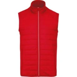PROACT PA235 - Veste Sport Bi-matière Sans Manches -Style au Travail aHR0cDovL21lZGlhMi5kZXNpZ25wYXJ0bmVyLmZyL2MvcC8xNTAyMS8xNTAyMS0xMjA2NC0xLmpwZw
