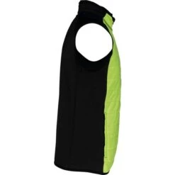 PROACT PA235 - Veste Sport Bi-matière Sans Manches -Style au Travail aHR0cDovL21lZGlhMi5kZXNpZ25wYXJ0bmVyLmZyL2MvcC8xNTAyMS8xNTAyMS0xMjEyMS0zLmpwZw