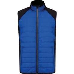 PROACT PA235 - Veste Sport Bi-matière Sans Manches -Style au Travail aHR0cDovL21lZGlhMi5kZXNpZ25wYXJ0bmVyLmZyL2MvcC8xNTAyMS8xNTAyMS0xNjk0Mi0xLmpwZw
