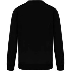 PROACT PA374 - Sweat-shirt Polyester Enfant -Style au Travail aHR0cDovL21lZGlhMi5kZXNpZ25wYXJ0bmVyLmZyL2MvcC8xNTAzNy8xNTAzNy0zNzIwLTIuanBn
