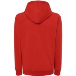 SWUAHOOD - Hooded Sweatshirt Unisex -Style au Travail aHR0cDovL21lZGlhMi5kZXNpZ25wYXJ0bmVyLmZyL2MvcC8xNTEwNy8xNTEwNy0xMTM5My0yLmpwZw