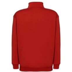 SWRAZIP - Half Zip Sweat Shirt -Style au Travail aHR0cDovL21lZGlhMi5kZXNpZ25wYXJ0bmVyLmZyL2MvcC8xNTEwOC8xNTEwOC0xMTM5My0yLmpwZw