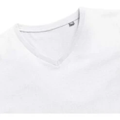 R-103M-0 - Men's Pure Organic V-Neck Tee -Style au Travail aHR0cDovL21lZGlhMi5kZXNpZ25wYXJ0bmVyLmZyL2MvcC8xNTUzMS8xNTUzMS0xNzQxMy0xMS5qcGc