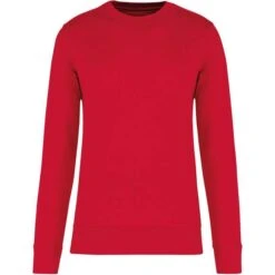 KARIBAN K4026 - Sweat-shirt écoresponsable Col Rond Enfant -Style au Travail aHR0cDovL21lZGlhMi5kZXNpZ25wYXJ0bmVyLmZyL2MvcC8xNjE3MS8xNjE3MS0xMjYyLTEuanBn