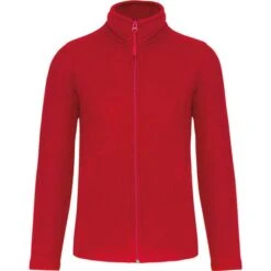 WK903 - Veste Micropolaire Zippée -Style au Travail aHR0cDovL21lZGlhMi5kZXNpZ25wYXJ0bmVyLmZyL2MvcC8xNjI0NC8xNjI0NC0xNzgzNy0xLmpwZw